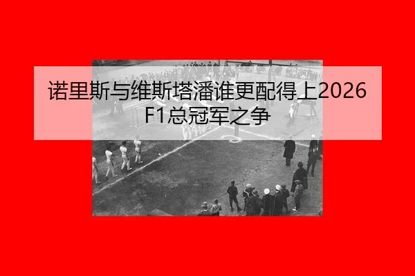 nuo-li-si-yu-wei-si-ta-pan-shui-geng-pei-de-shang-zong-guan-jun-zhi-zheng-2-455.jpg